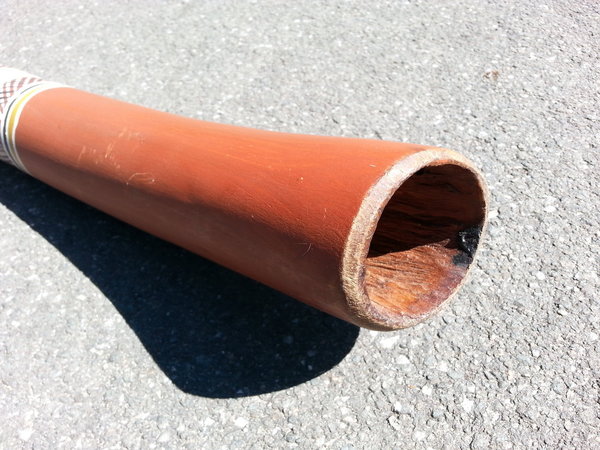 Eukalyptus Didgeridoo Nr. 403