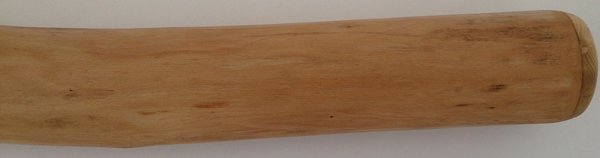 Eukalyptus Didgeridoo Nr. 408