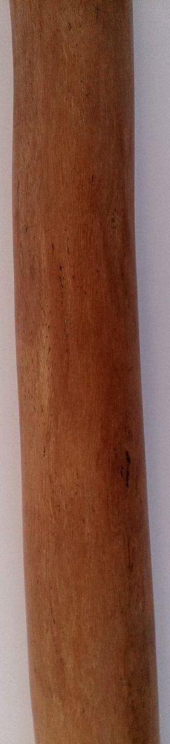 Eucalyptus Didgeridoo No. 413