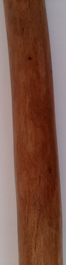 Eukalyptus Didgeridoo Nr. 413