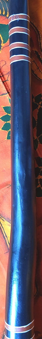 Eukalyptus-Didgeridoo Nr. 427