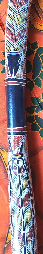 Eukalyptus-Didgeridoo Nr. 426