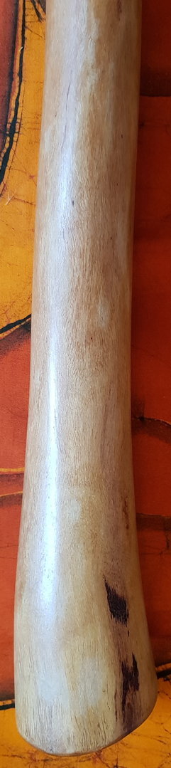 Eukalyptus-Didgeridoo Nr. 255
