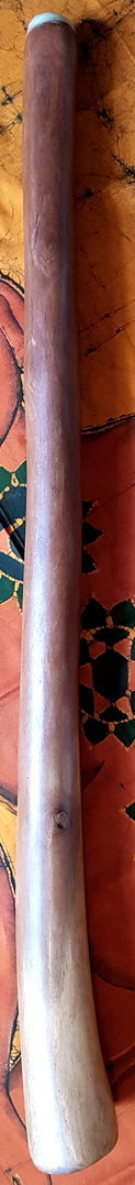 Eukalyptus-Didgeridoo Nr. 255