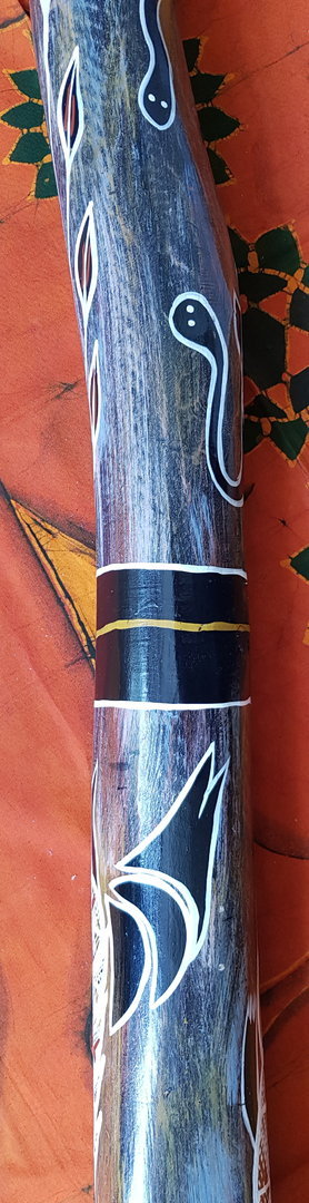 Eukalyptus-Didgeridoo Nr. 259