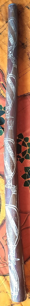 Eukalyptus-Didgeridoo Nr. 433