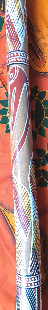 Eukalyptus-Didgeridoo Nr. 435