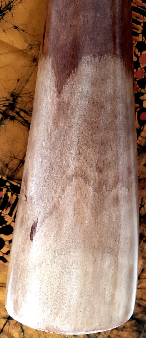 Eukalyptus-Didgeridoo Nr. 302