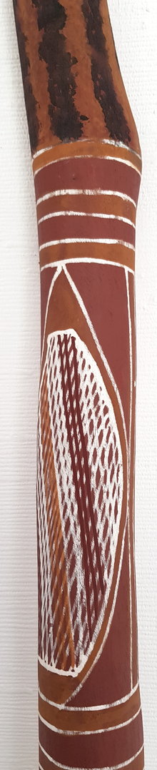 Eukalyptus-Didgeridoo Nr. 7