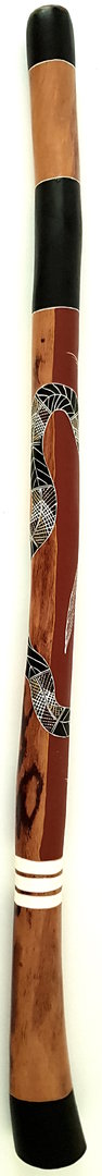 Eucalyptus-Didgeridoo No. 341