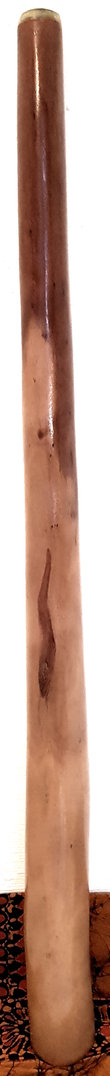 Eukalyptus-Didgeridoo Nr. 352