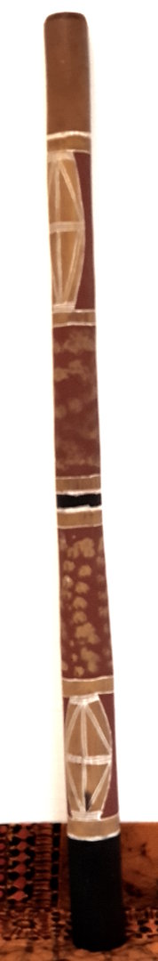 Eukalyptus-Didgeridoo Nr. 445